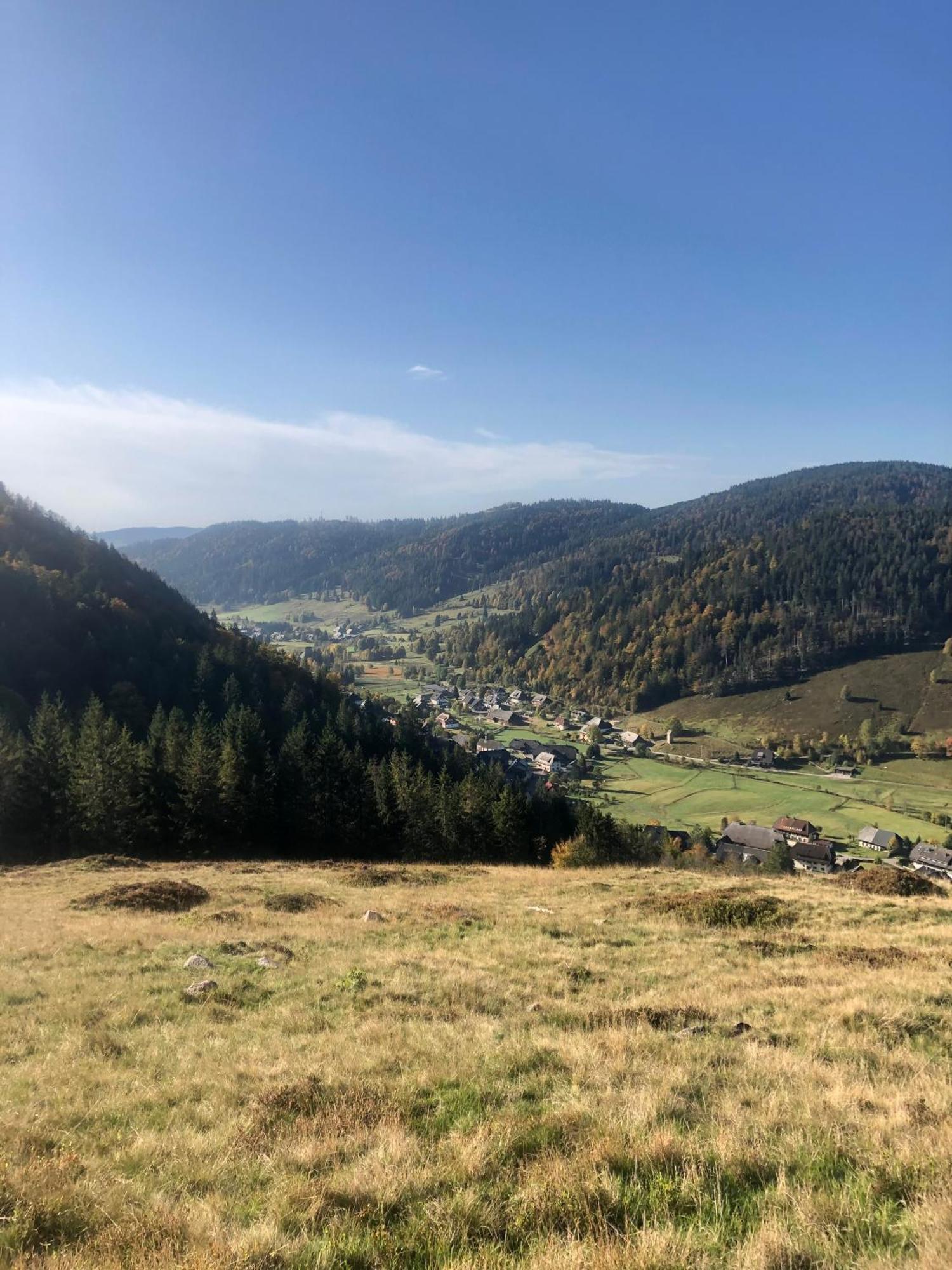 Forest Apartment-Mountain Escape Menzenschwand St. Blasien Luaran gambar
